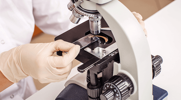 A microscope in a pet In-House Lab that does pet testing in Three Rivers, MI